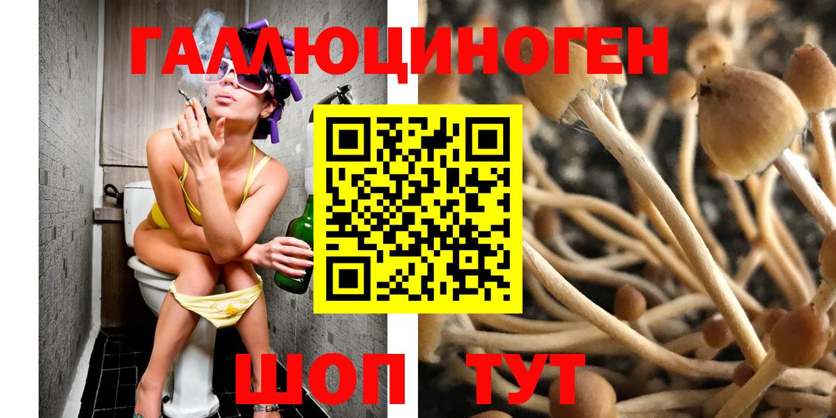Галлюциногенные грибы прущие грибы Родники